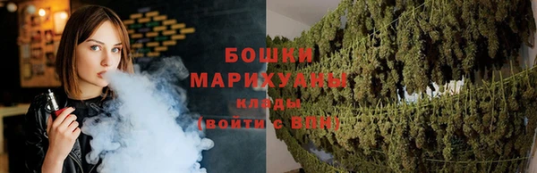марки lsd Новозыбков
