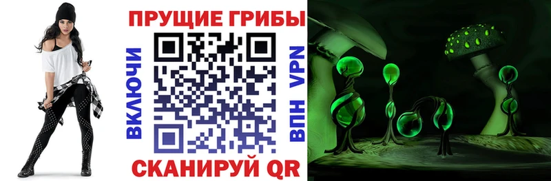 гидра tor  мориарти телеграм  Галлюциногенные грибы мухоморы  Невельск 
